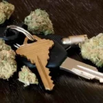 נהיגה תחת השפעת סמים