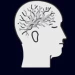 בעיות נוירולוגיות